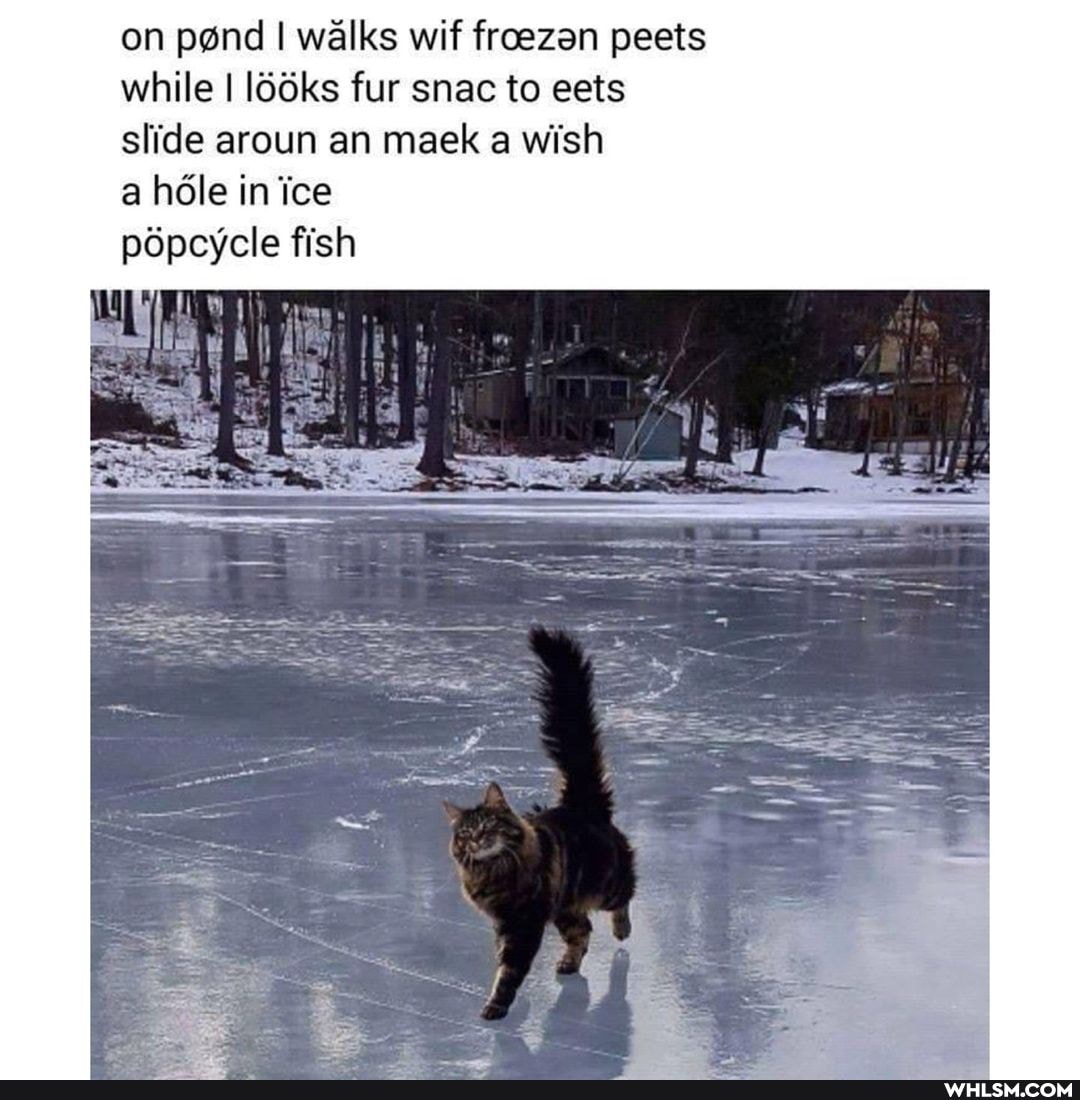 on pond I walks wif froezan peets while I l66ks fur snac to eets slide aroun an maek a wish
a hdle in ice
pdpcycle fish