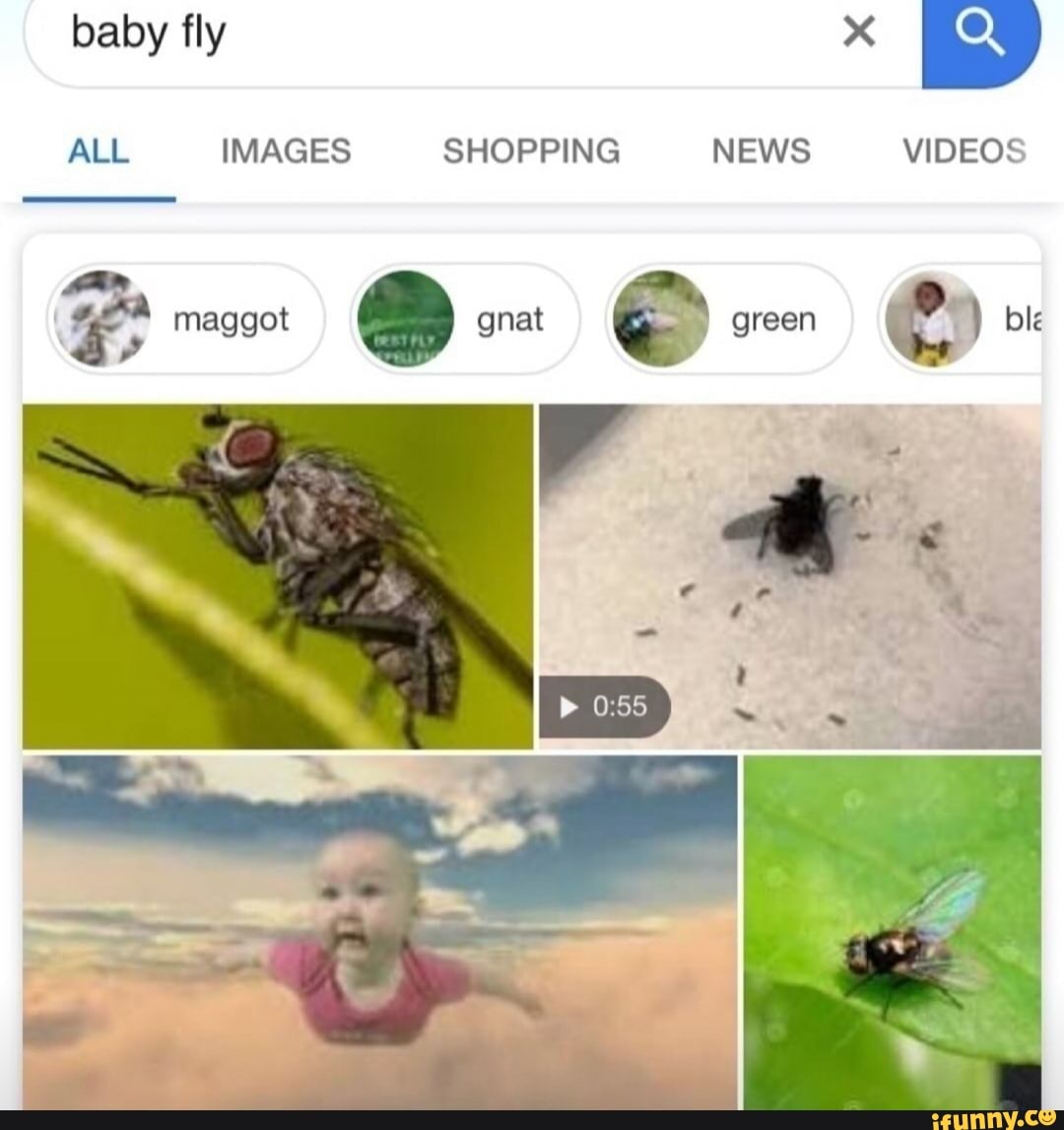 Baby fly ALL IMAGES SHOPPING NEWS VIDEOS maggot gnat green ole - iFunny