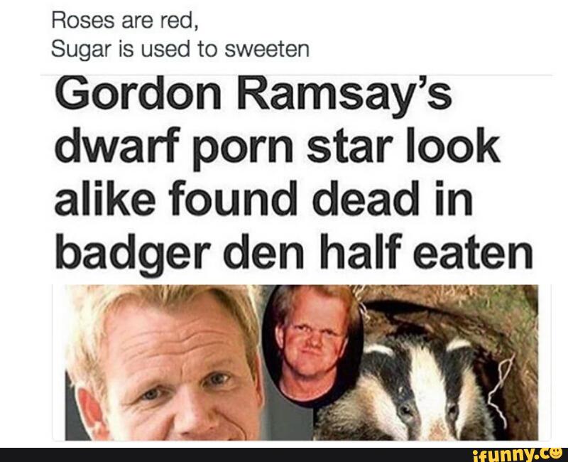 gordon ramsay gay midget porn star eaten by racoons