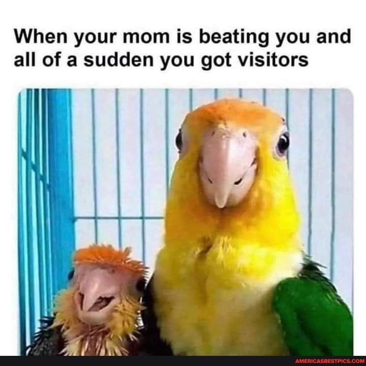 When your mom is beating you and all of a sudden you got visitors