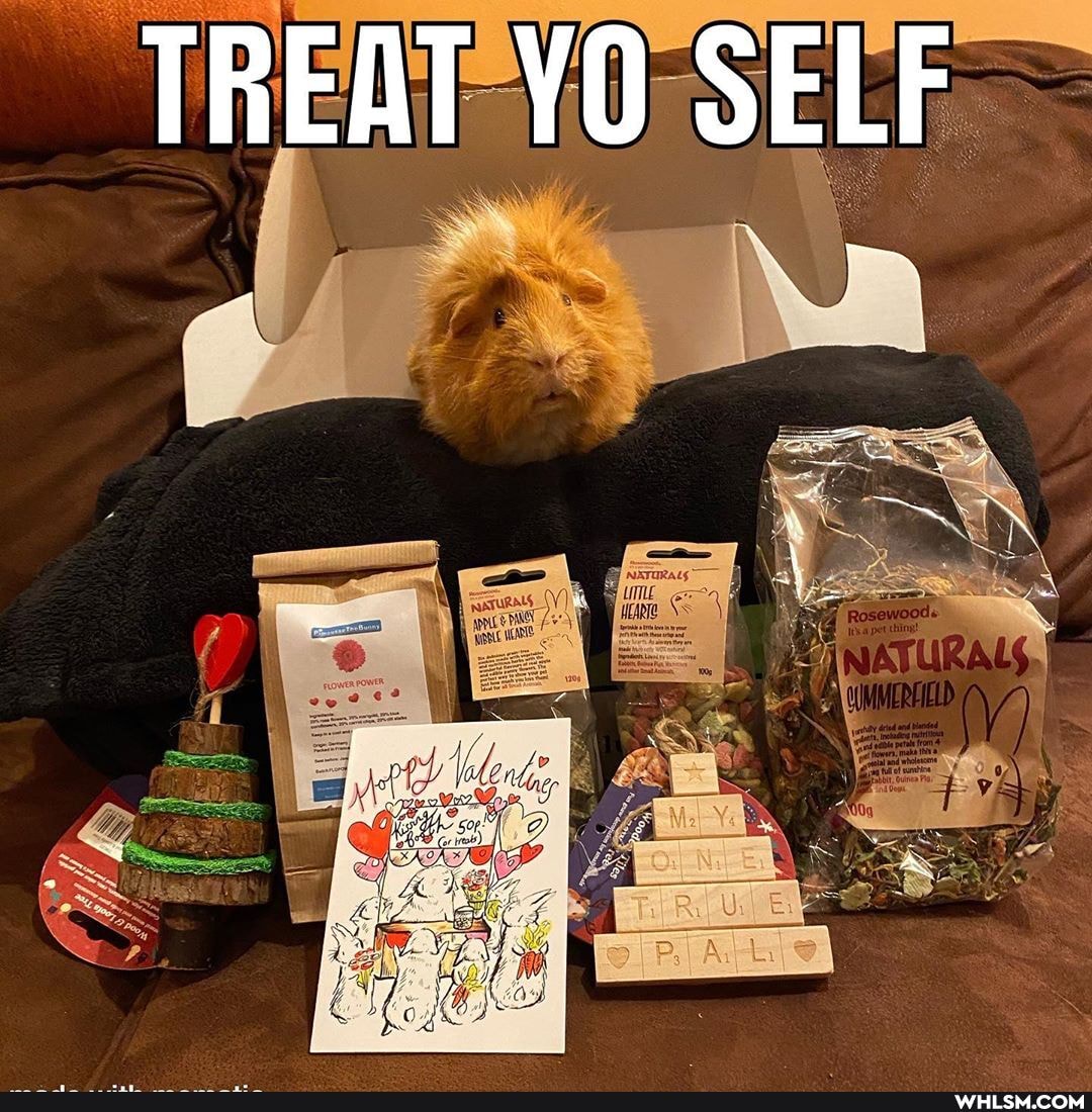 TREAT YO SELF