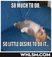 SU MUGH TA DO,
IN
SO LITTLE DESIRE TO