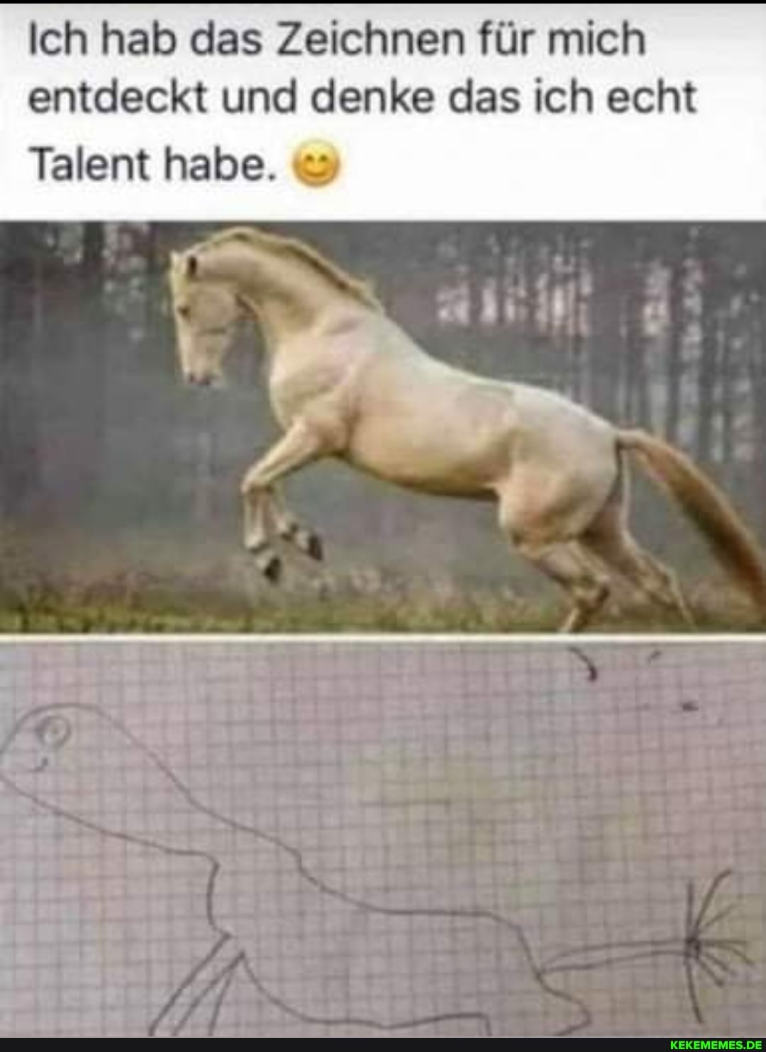 Ich hab das Zeichnen für mich entdeckt und denke das ich echt
Talent habe. &