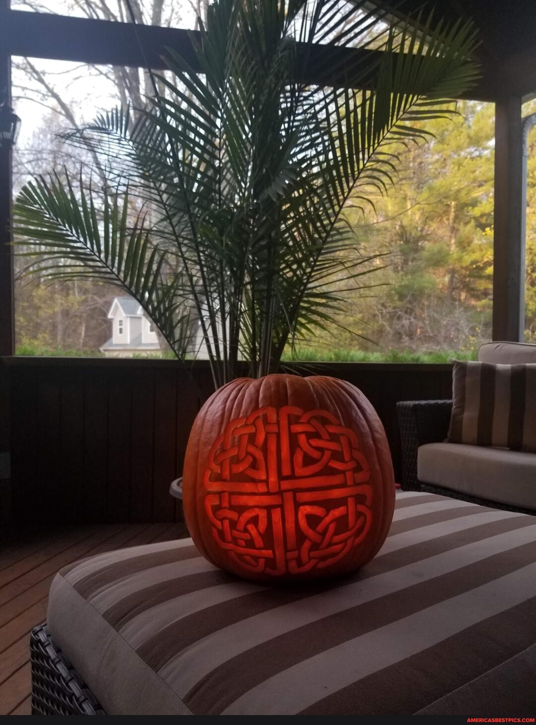 friend, told, belonged, favorite, pumpkin, design, ve, carved