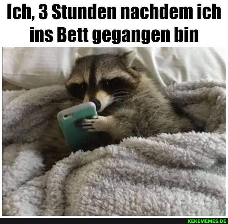 Ich, 3 Stunden nachdem ich ins Bett gegangen bin