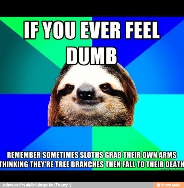 [HINKING THEY'RE TREE BRANCHES THEN FALL
REMEMBER SOMETIMES: SLOTHSIG SES