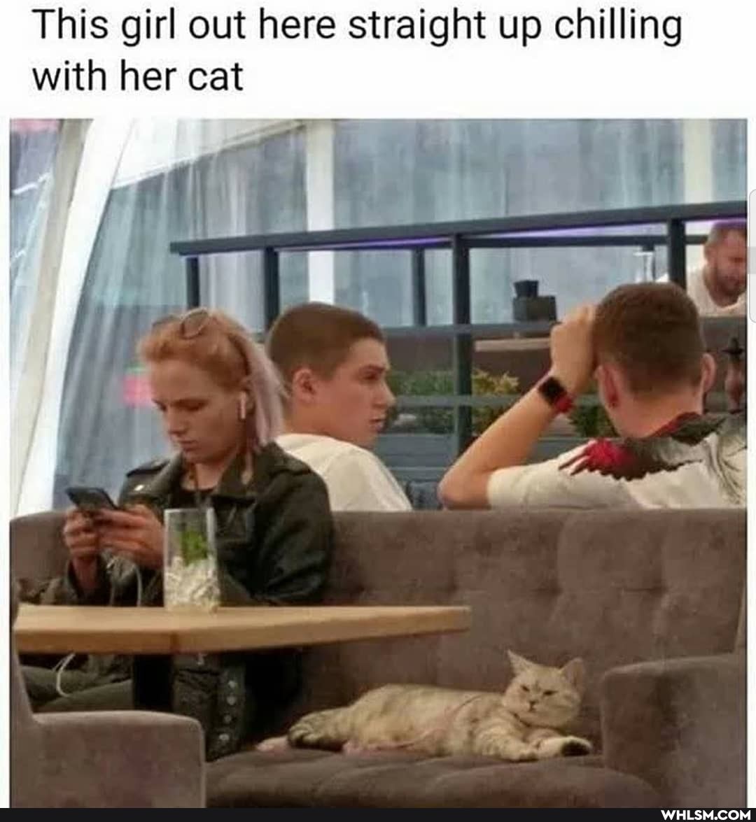 This girl out here straight up chilling with her cat