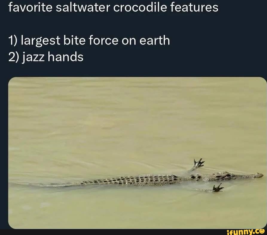 Saltwater memes. Best Collection of funny Saltwater pictures on iFunny