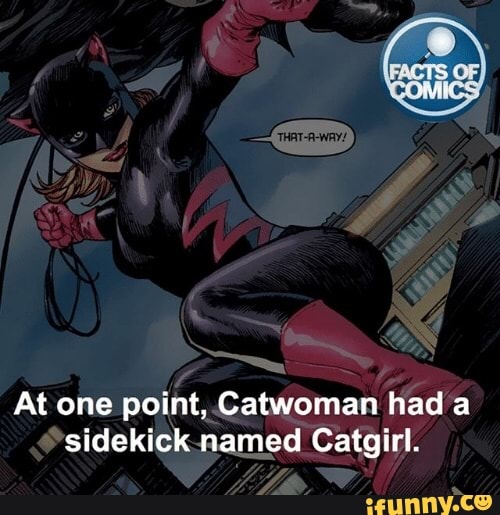 At one point, Catwoman had a sidekick named Catgirl. )