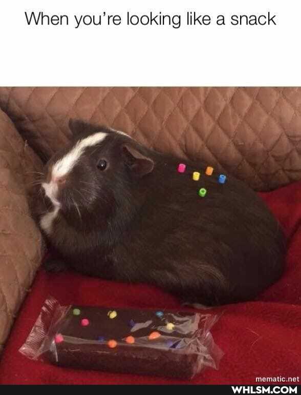 When you're looking like a snack
