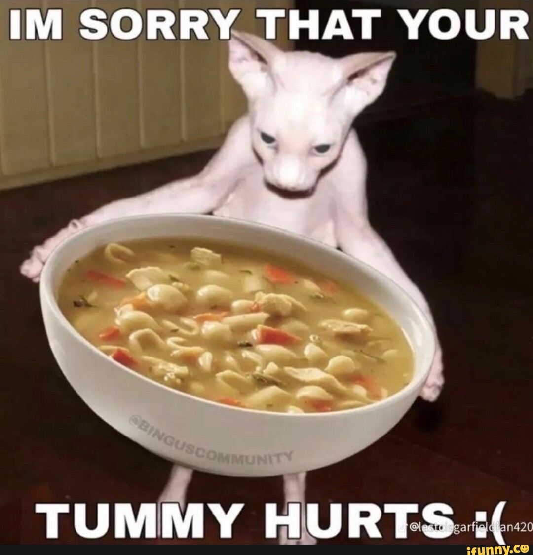 im-sorry-that-your-tummy-hurte-ifunny