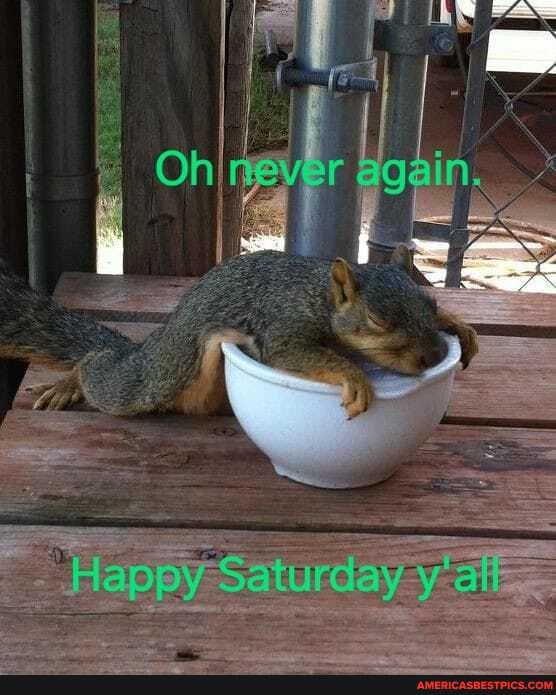 Happy Saturday