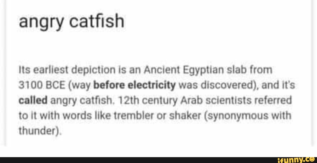 angry-catfish-its-earliest-depiction-is-an-ancient-egyptian-slab-from-3100-bce-way-before