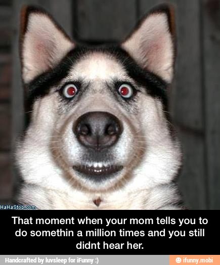 That moment when your mom tells you to
do somethin a million times and you still
didnt hear her. - That moment when your mom tells you to do somethin a million times and you still didnt hear her.