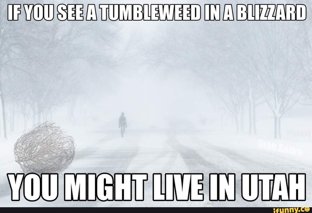 If you see a tumbleweed in a blizzard ou might live in utah.