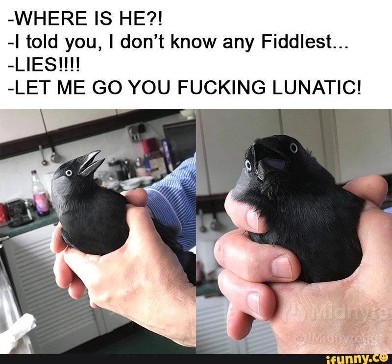 -WHERE IS HE?!
-I told you, I don't know any Fiddlest...
-LIES!!
-LET ME GO YOU FUCKING LUNATIC!
