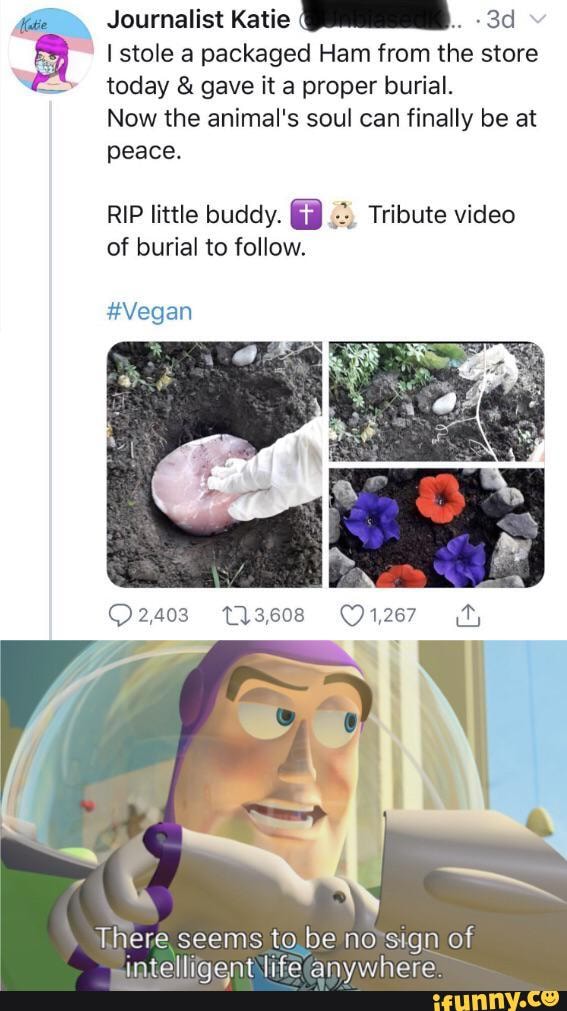 Journalist Katie
ay,I stole a packaged Ham from the store today & gave it a proper burial.
Now the animal's soul can finally be at peace.
RIP little buddy. Tribute video of burial to follow.
#Vegan
3,608
There seems to be no sign of intelligent life anywhere