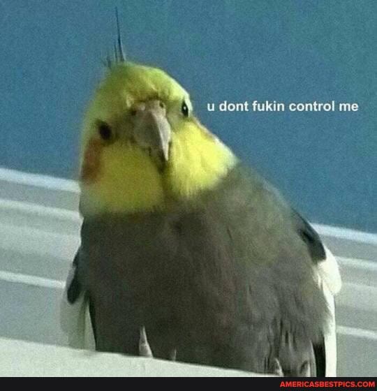 u dont fukin control me