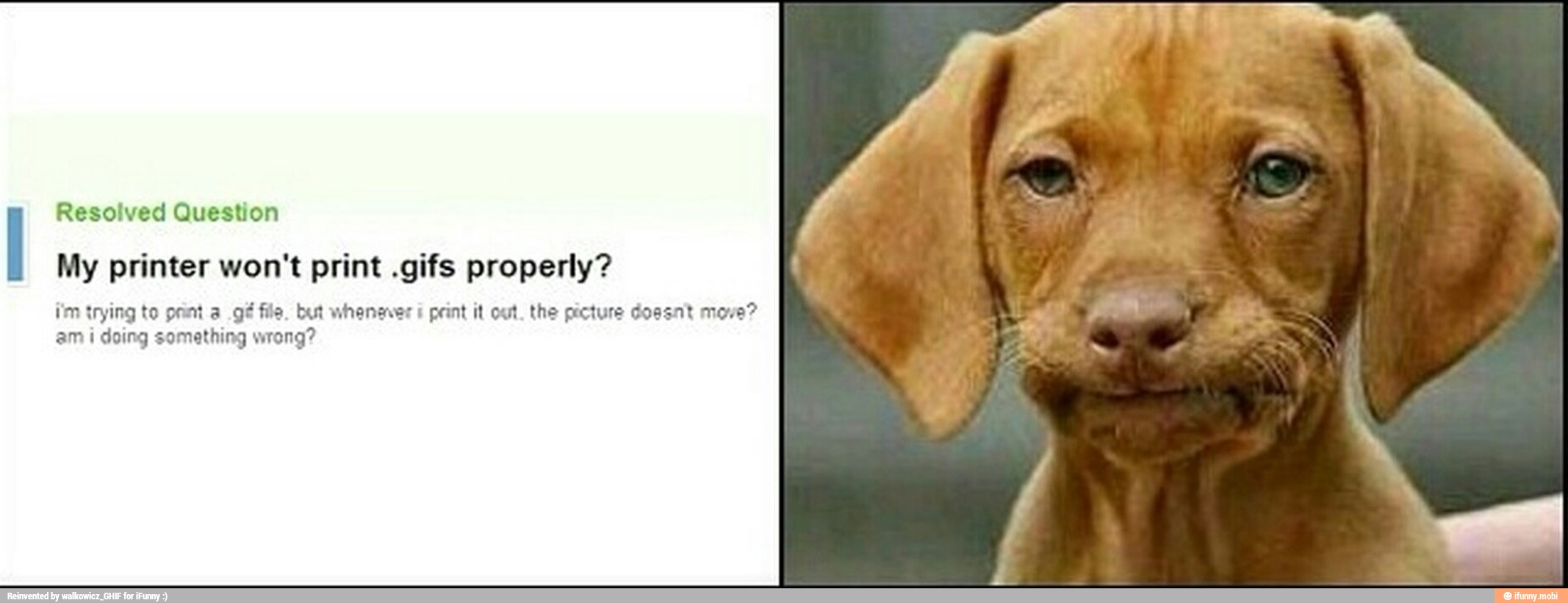 Resolved Question
My printer won't print .gifs properly?
im trying to print a gé file. but whenever 1
paint it out. the picture doesnt move?
am i doing something wrong?