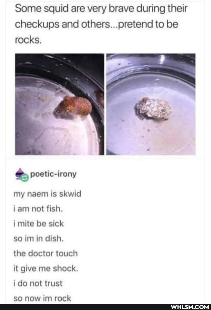 Some squid are very brave during their checkups and pretend to be rocks.
poetic-irony
my naem is skwid tam not fish.
i mite be sick
so In in dish.
the doctor touch
it give me shock.
i do not trust
Gee