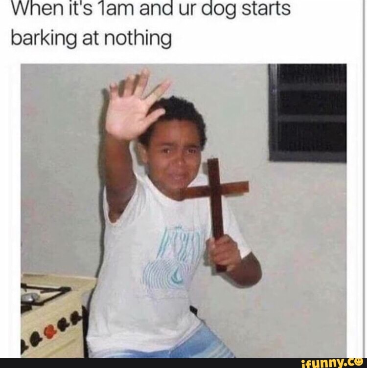 When It's Tam ana ur dog starts
barking at nothing