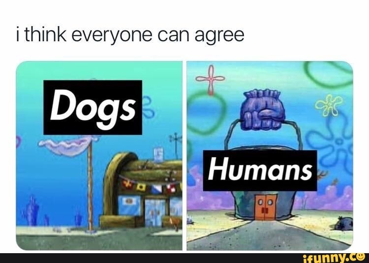 think everyone can agree
Dogs
Humans