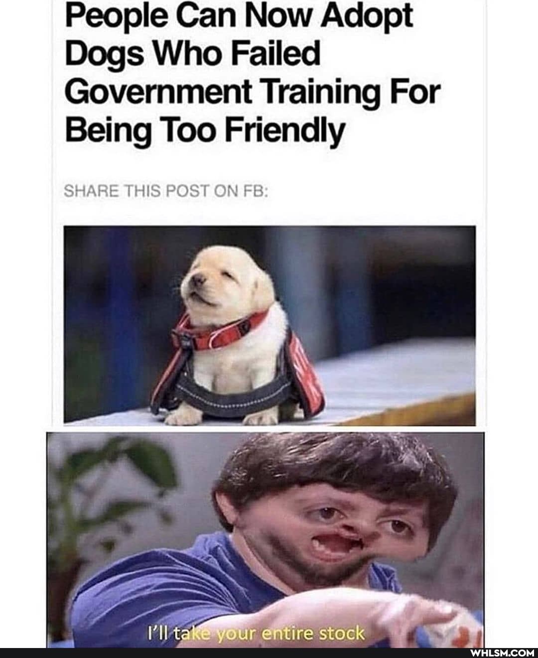 People Can Now Adopt
Dogs Who Failed
Government Training For
Being Too Friendly
SHARE THIS POST ON FB
erack