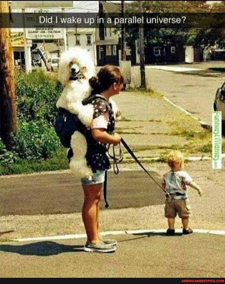Did I wake up in a parallel universe?