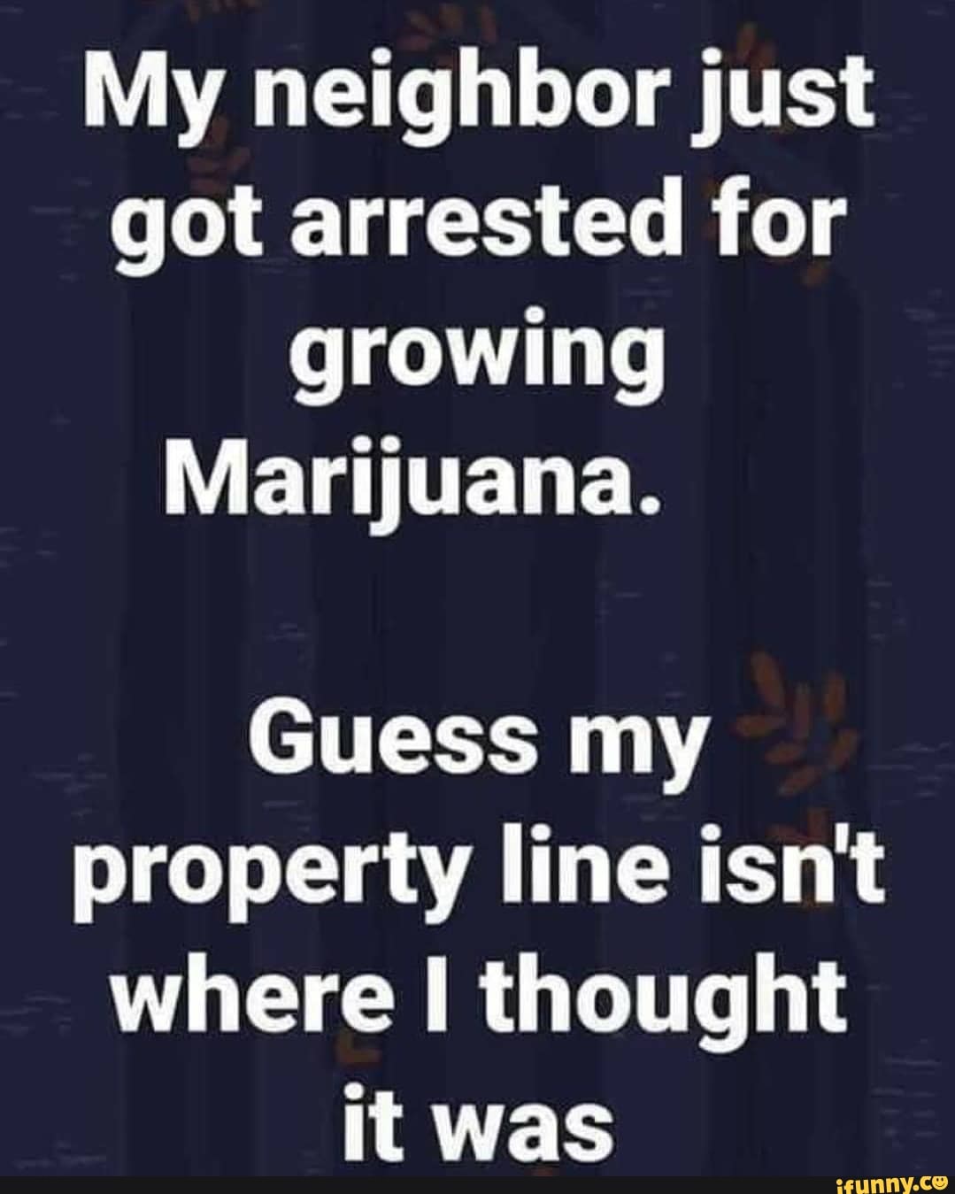 My neighbor just got arrested for growing Marijuana. Guess