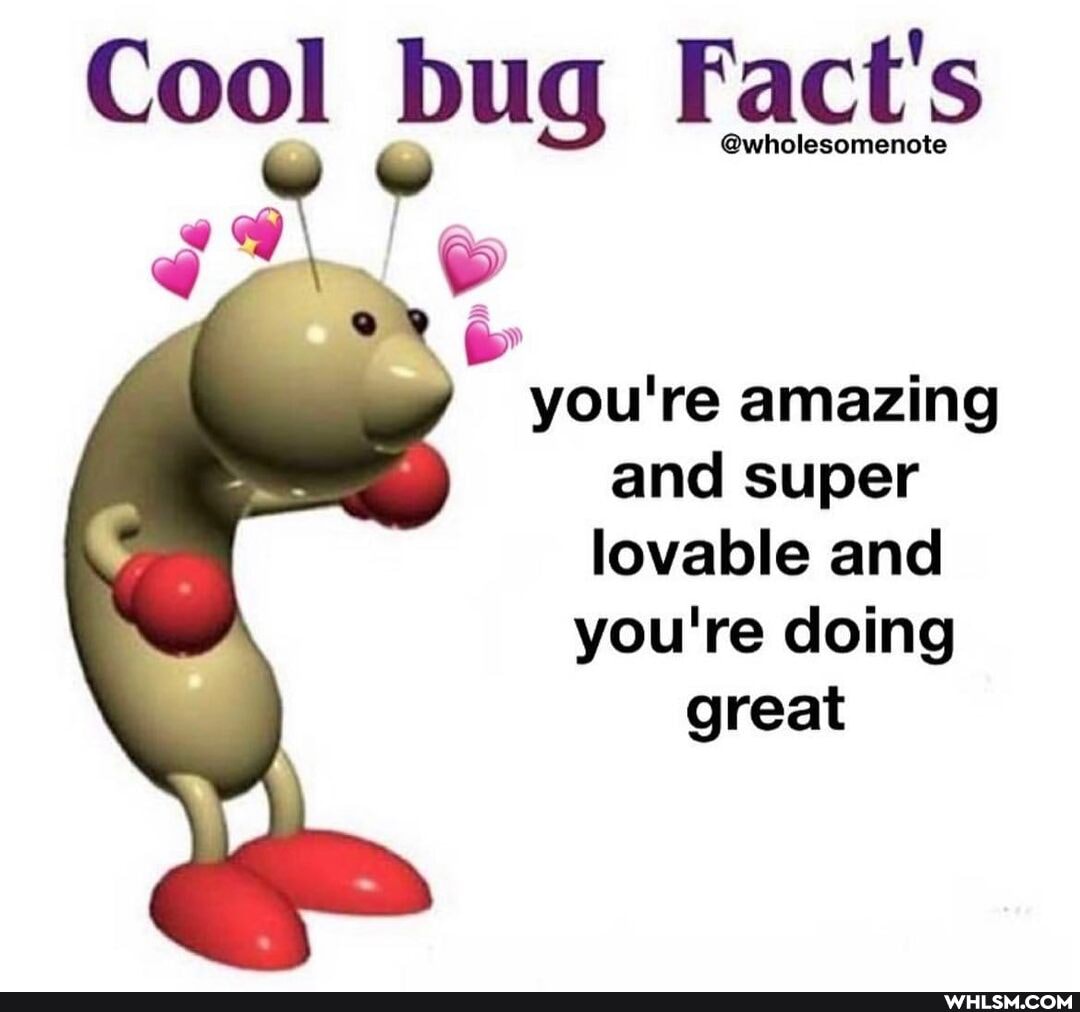Cool bug Fact's
you're amazing and super lovable and
you're doing great