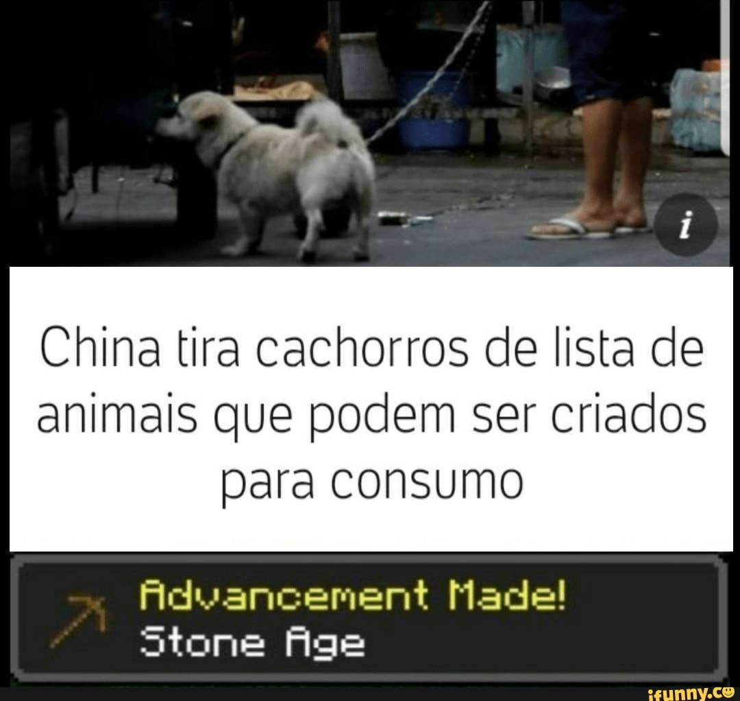 China tira cachorros de lista de animais que podem ser criados para consumo
Stone
Made!