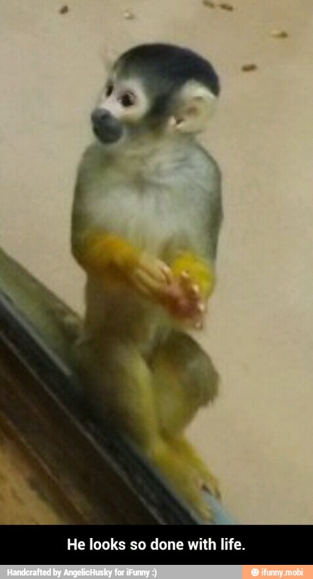 He looks so done with life. - He looks so done with life.