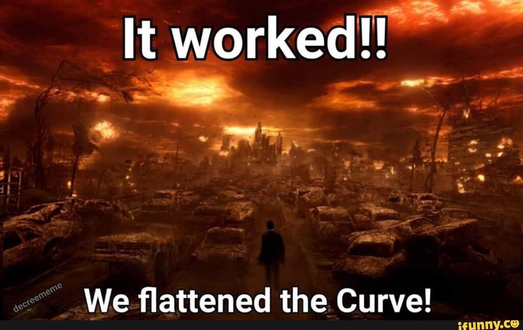 We flattened the Curve!