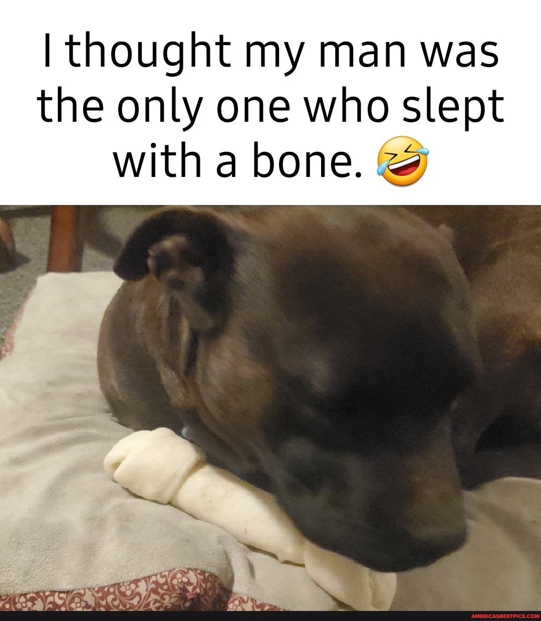 I thought my man was the only one who slept with a bone.