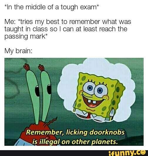 *In the middle of a tough exam*
Me: *tries my best to remember what was taught in class so I can at least reach the passing mark*
My brain:
Remember, licking doorknobs is illegal on other planets.