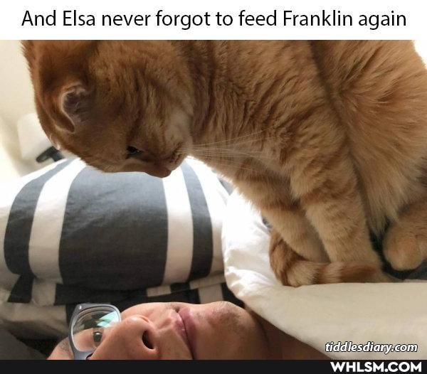 And Elsa never forgot to feed Franklin again