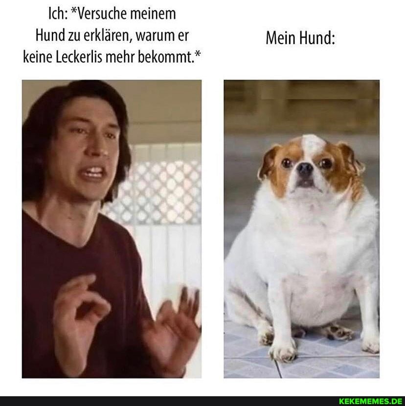 Ich: *Versuche meinem
Hund zu erklären, warum er Mein Hund: keine Leckerlis mehr bekommt.*