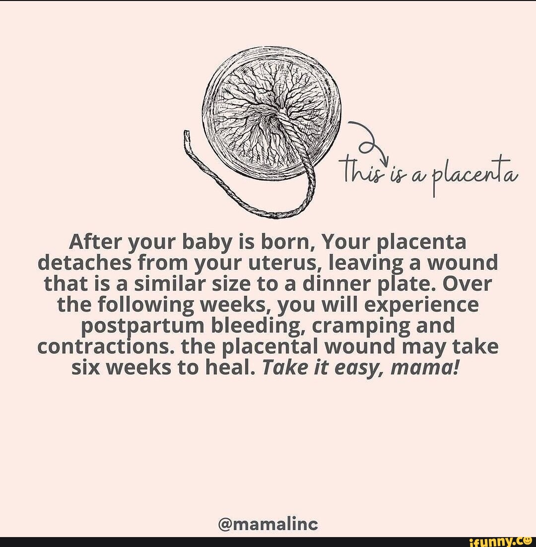 After your baby is born, Your placenta detaches from your uterus