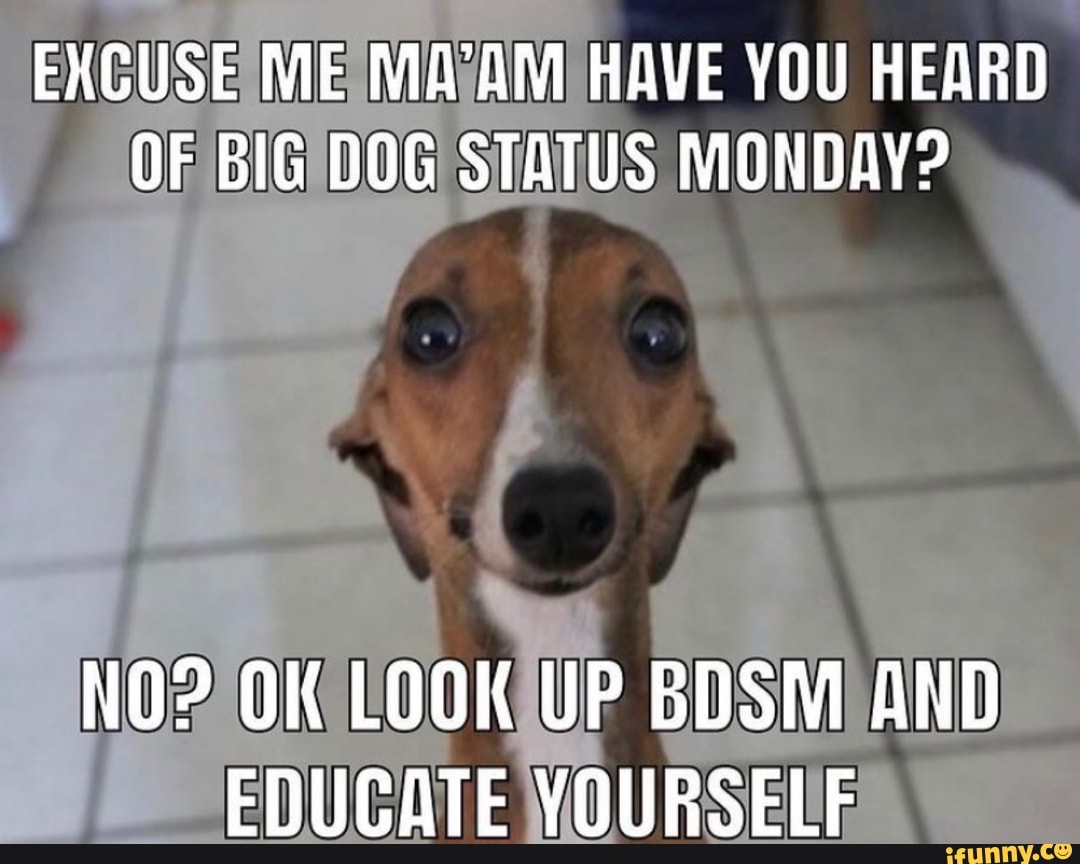 EXCUSE ME MA'AM HAVE YOU HEARD OF BIG DOG STATUS MONDAY?
NO? OK LOOK UP BDSM AND EDUCATE YOURSELF