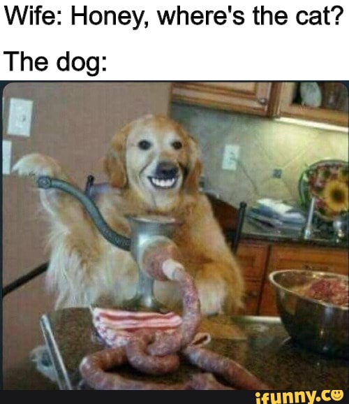 Wife: Honey, where's the cat?
The dog: