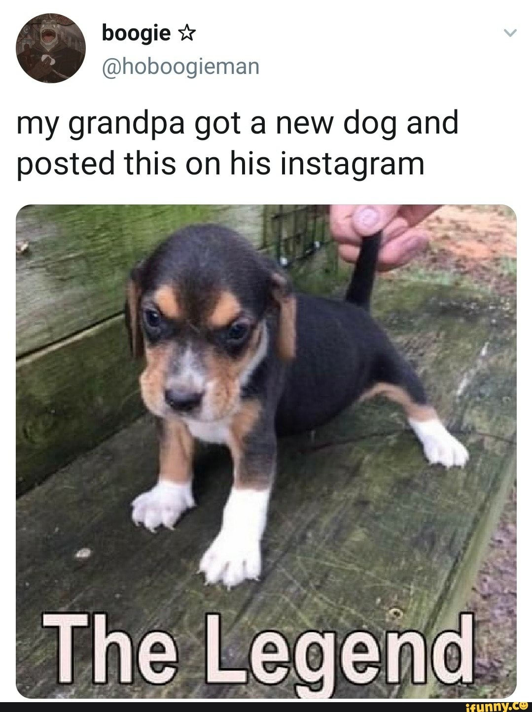 my grandpa got a new dog and posted this on his instagram
The Le
