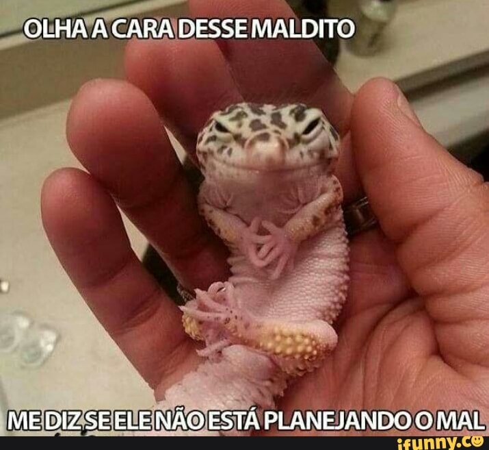 SOME
'MEIDIZSE ELEINÃO ESTÁ PLANEJANDO O MAL: