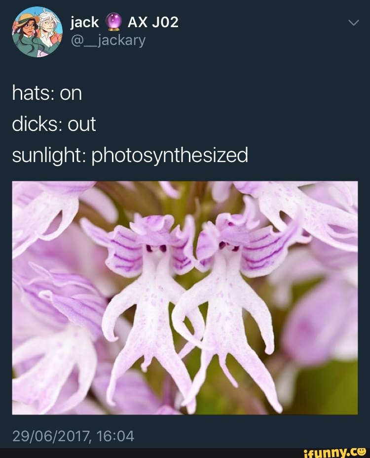 a
E
hats: on
dicks: out
sunlight: photosynthesized