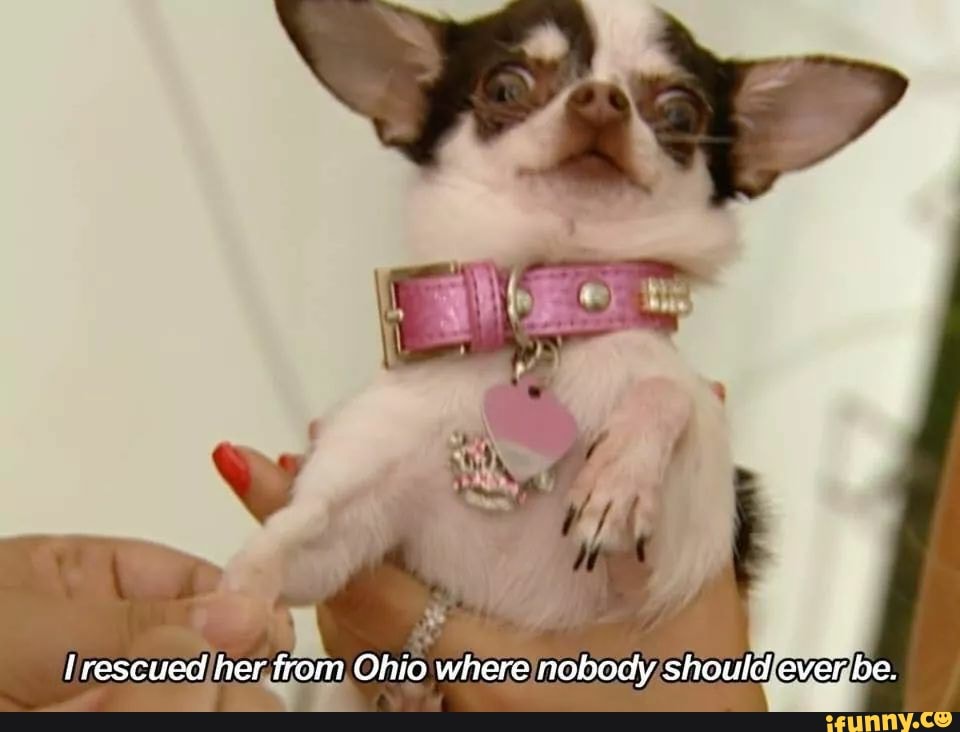 rescued her from Ohio where nobody should ever be.