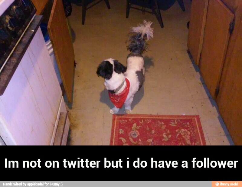 Im not on twitter but i do have a follower - Im not on twitter but i do have a follower