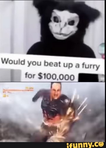 Would You Beat Up Furry For A Furry Ifunny