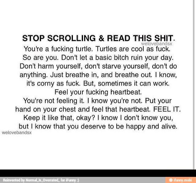 STOP SCROLLING READ THIS SHIT.
You're a fucking turtle. Turtles are cool as fuck.
So are you. Don't let a basic bitch ruin your day.
Don't harm yourself, don't starve yourself, don't do
anything. Just breathe in, and breathe out. I know,
it's corny as fuck. But, sometimes it can work.
Feel your fucking heartbeat.
You're not feeling it. I know you're not. Put your
hand on your chest and feel that heartbeat. FEEL IT.
Keep it like that, okay? I know I don't know you,
but I know that you deserve to be happy and alive.
AS