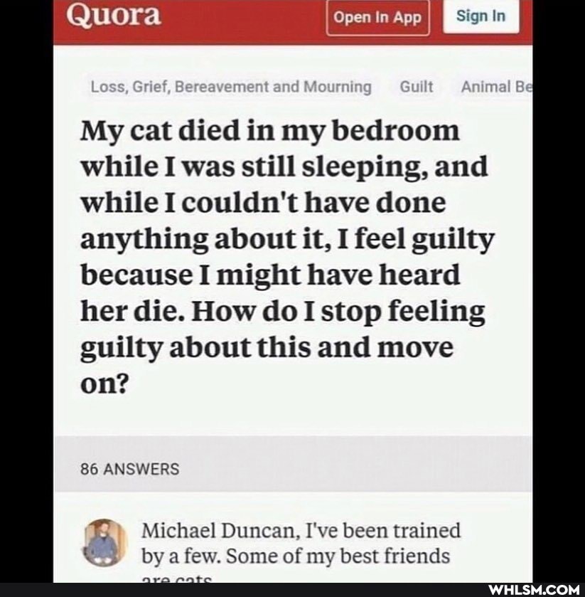 Quora Open In App Sign In
Loss, Grief, and Meuming Animal
My cat died in my bedroom while I was still sleeping, and while I couldn't have done anything about it, I feel guilty because I might have heard her die. How do I stop feeling guilty about this and move on?
86 ANSWERS
Michael Duncan, I've been trained
by few. Some of my best friends