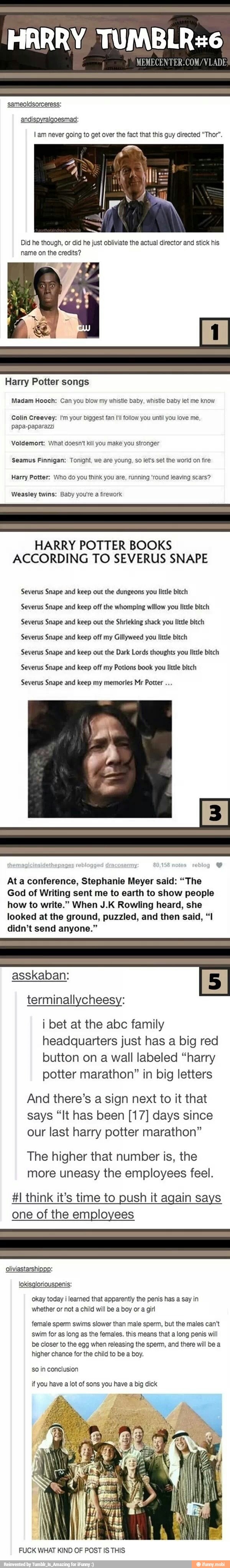 andispyralgoesmad:
Lam never going to get over the fact that this guy directed "Thor".
Did he though, or did he just obliviate the actual director and stick his
name on the credits?
Harry Potter songs
Madam Hooch: Can you blow my whistle baby, whistle baby let me know
Colin Creevey: I'm your biggest fan I'll follow you until you love me.
Voldemort: What doesn't kill you make you stronger
Seamus Finnigan: Tonight, we are young, so let's set the world on fire