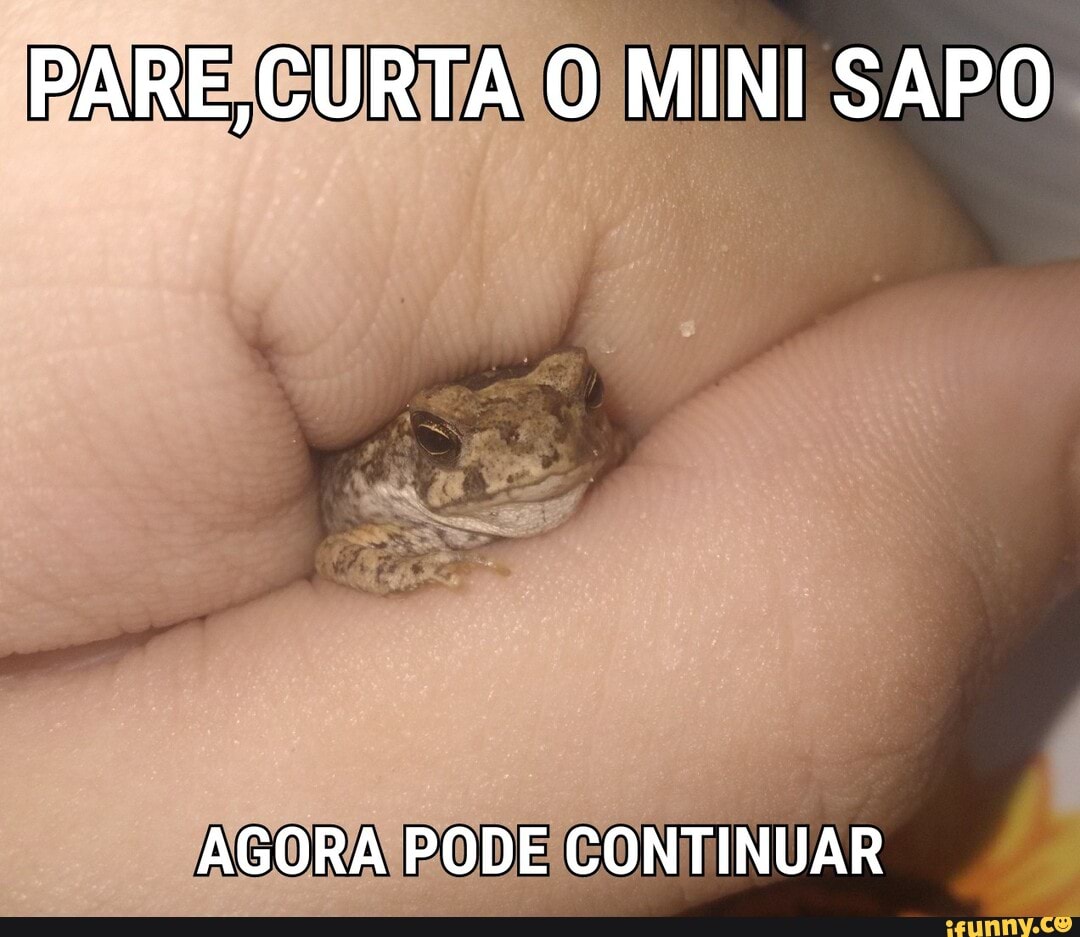 CU O MINI SAPO
AGORA PODE CONTINUAR